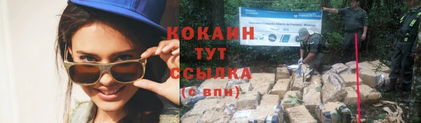 хмурый Снежногорск