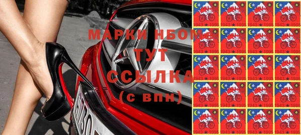 хмурый Снежногорск