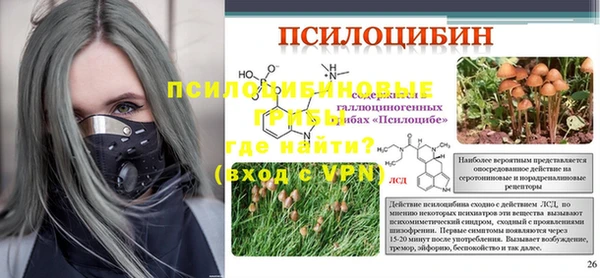 дурь Алексеевка
